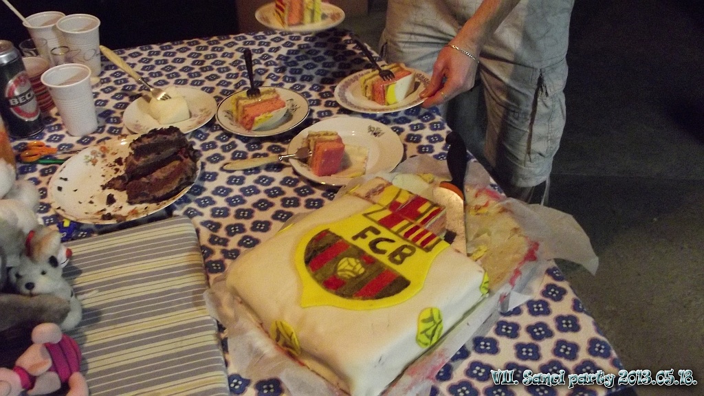 VII. SanciParty  221.jpg